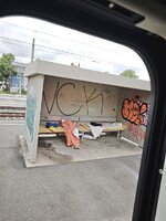 IMG_20260709_114522.jpg
