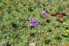P1000167.JPG