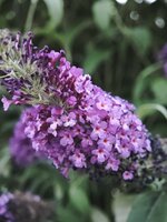IMG_20260709_211416.jpg