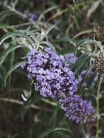 IMG_20260709_210904.jpg