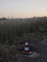 IMG_20260709_211110.jpg