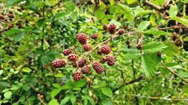 20260708_092253.jpg