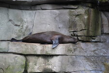 Duitsland-Hamburg ''Hagenbeck'' (116).JPG