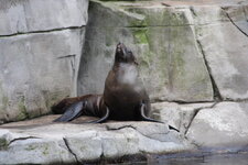 Duitsland-Hamburg ''Hagenbeck'' (117).JPG