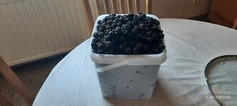 20260709_135441.jpg