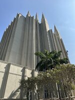 IMG_9503.jpeg