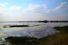 DSC_9987.JPG