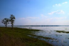 DSC_9988.JPG