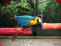 Pattaya 018.JPG