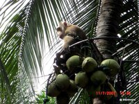 Pattaya 038.JPG