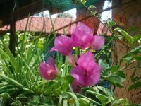 DSCN0762~2.JPG