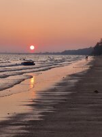 IMG_20260305_181714.jpg
