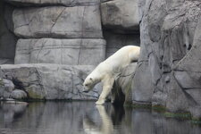 Duitsland-Hamburg ''Hagenbeck'' (131).JPG