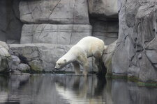 Duitsland-Hamburg ''Hagenbeck'' (136).JPG