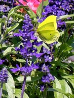 IMG_20260711_153023.jpg
