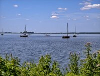 IMG_20260711_154210.jpg
