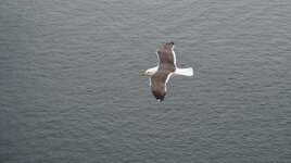 DSC06315.JPG