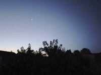 IMG_20260710_043730.jpg