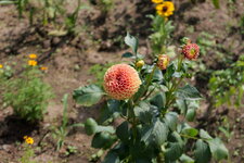 P1000173.JPG
