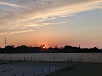 PXL_20260712_193237130.jpg