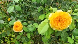 20260708_094634.jpg