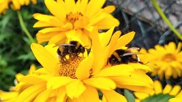 20260708_092412.jpg