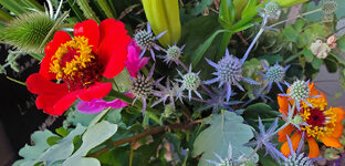 flower_cleaned.jpg