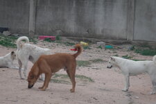DSC01200.JPG