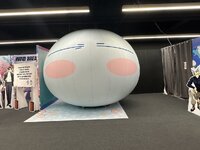 IMG_9233.jpeg