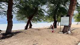 IMG_0236.jpeg