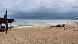 IMG_0235.jpeg