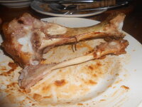 DSCN0880.JPG