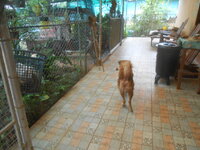 DSCN0890.JPG