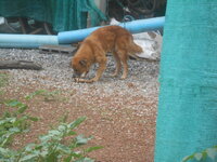 DSCN0891.JPG