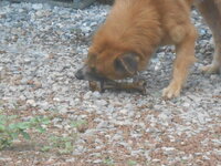DSCN0892.JPG