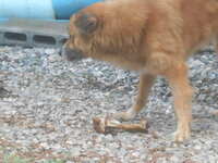 DSCN0893.JPG