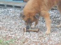 DSCN0894.JPG
