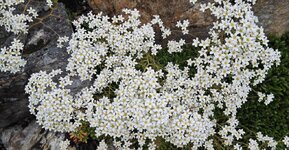 IMG_20260626_135906.jpg