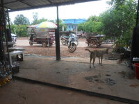 DSCN0910.JPG