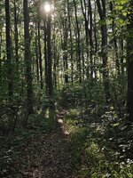 IMG_20260715_184127.jpg