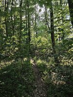 IMG_20260715_184331.jpg
