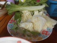 DSCN0915.JPG