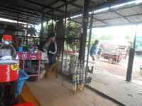 DSCN0916.JPG