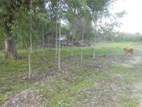 DSCN0924.JPG