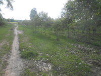 DSCN0925.JPG