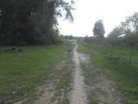 DSCN0926.JPG