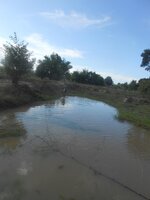 DSCN0929~2.JPG