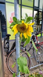 20260716_094441.jpg