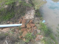 DSCN0931.JPG