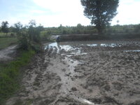 DSCN0933.JPG